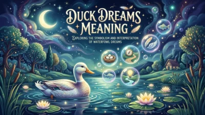 Duck Dreams Meaning