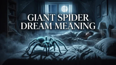 Giant Spider Dream Meaning