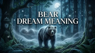 Bear Dream Meaning