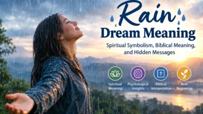 Rain Dream Meaning